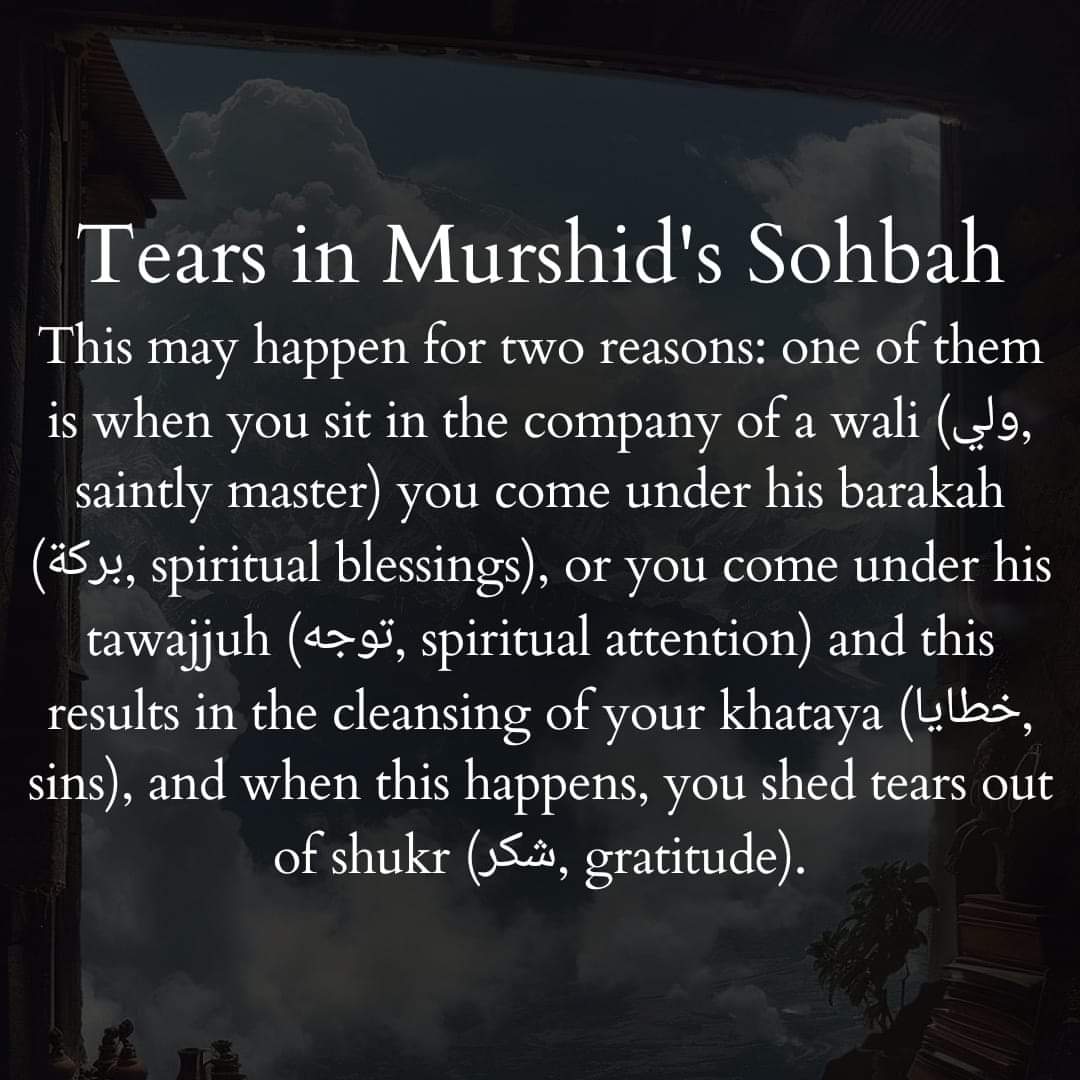 Murshid's Sohbah
