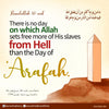 Day of Arafah