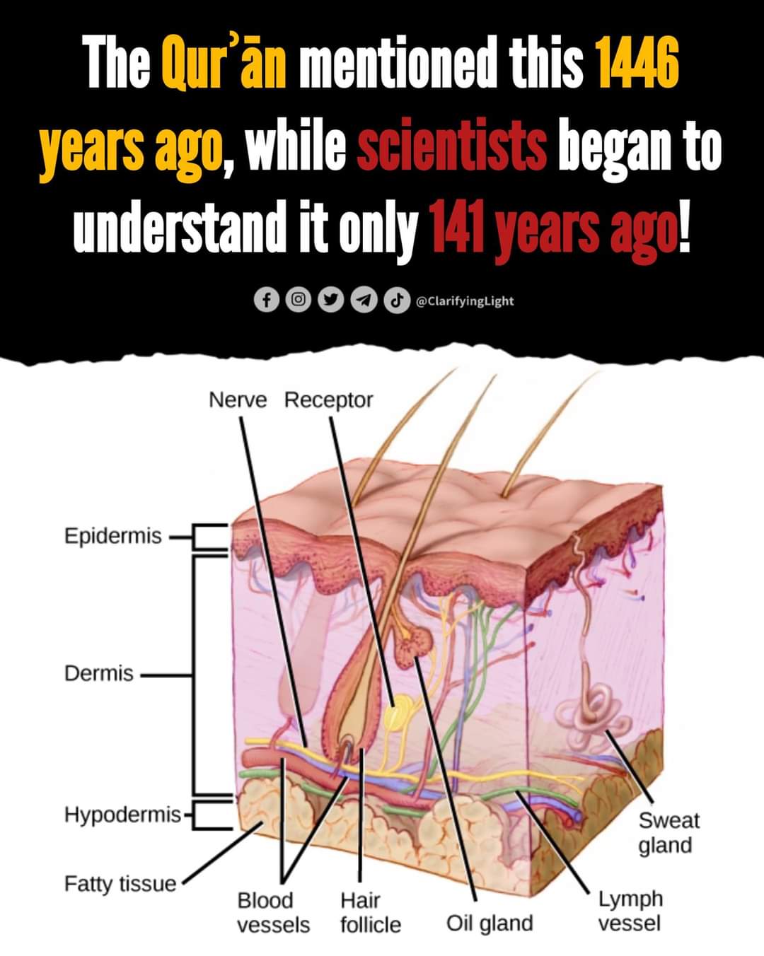 Qur'aan and foundation for our understanding of nociceptors as specialized sensory receptors for pain