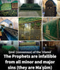 Prophets are infallible from all minor and major sins;
