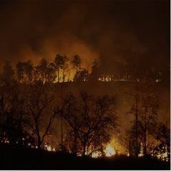 Collection image for: Natural Disaster